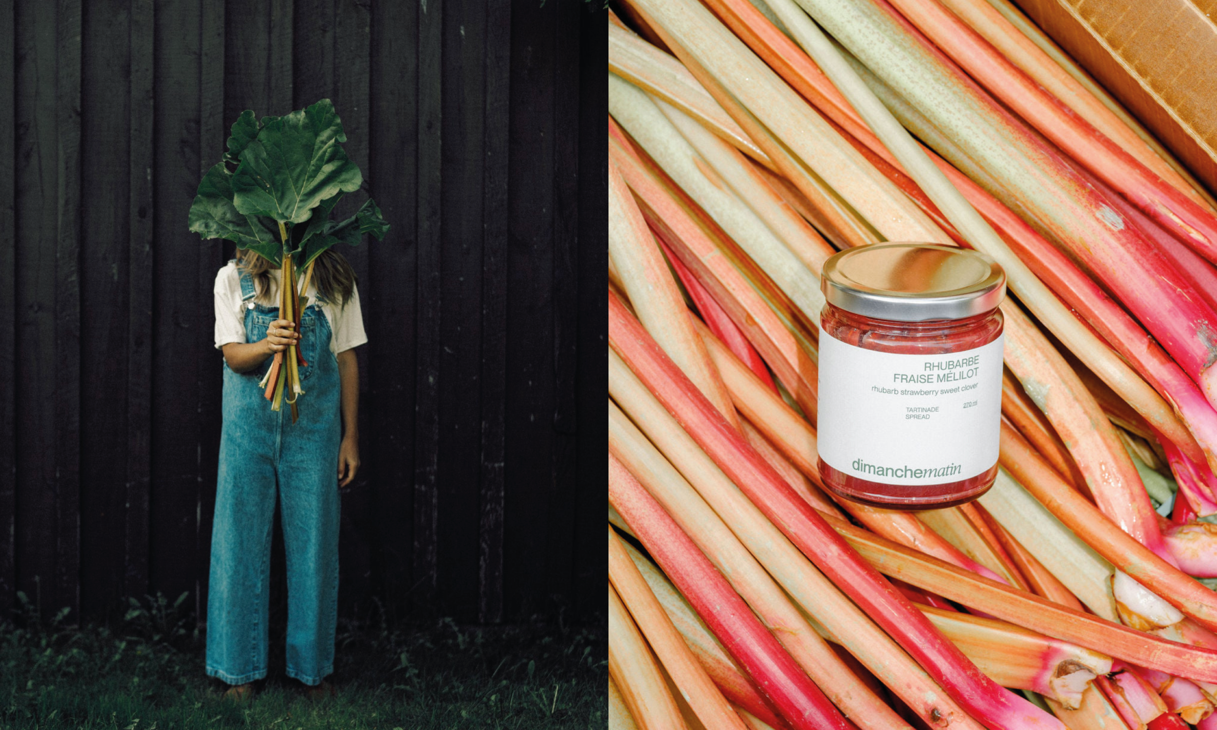 La tartinade Rhubarbe Fraise Mélilot